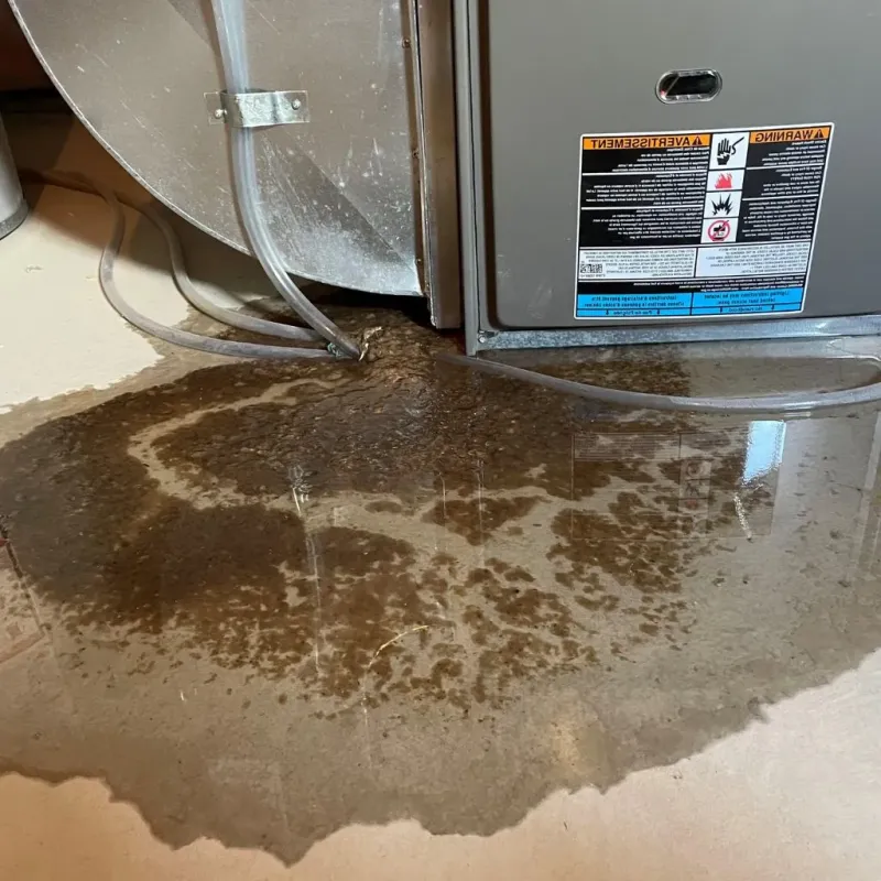 Pipe Burst and Leak Restoration in Roslyn Estates, NY